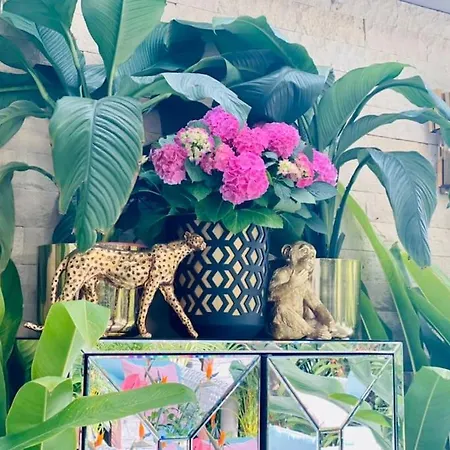 Вилла Tropical Адехе